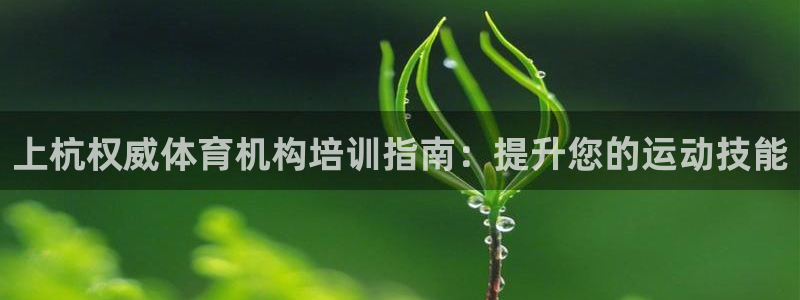 加盟极悦教育：上杭权威体育机构培训指南：提升您的运动