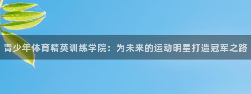 极悦平台注册登录失败：青少年体育精英训练学院：为未来