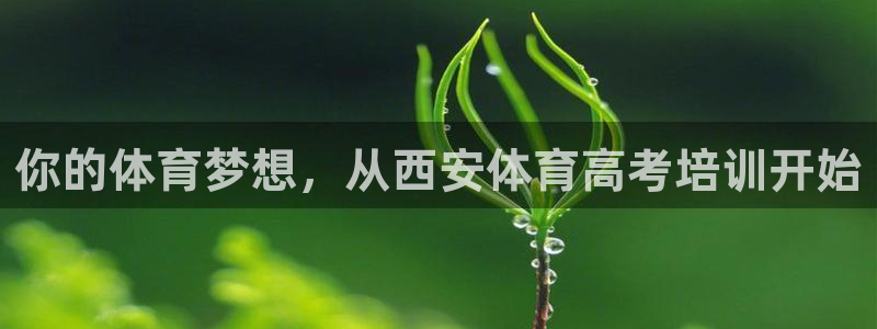 苏州极悦信息科技有限公司