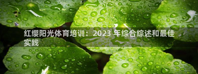 极悦平台注册官网网址：红缨阳光体育培训：2023 年