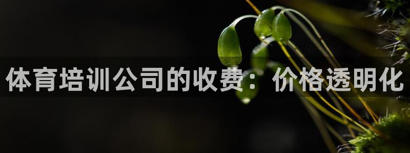 极悦平台创始人背景故事：体育培训公司的收费：价格透明