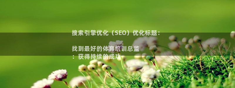 极悦平台注册登录入口官网：搜索引擎优化（SEO）优化